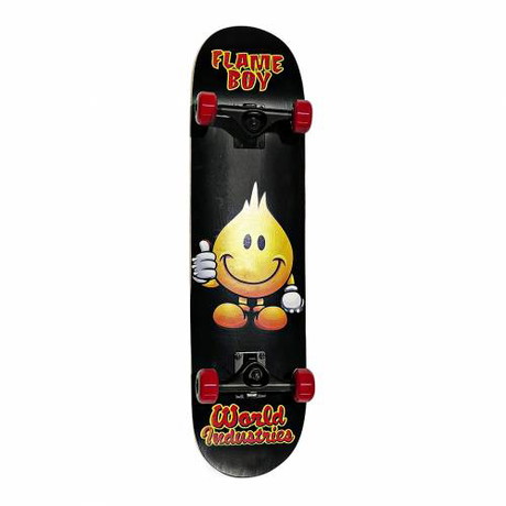 Kompletní skateboard World Industries